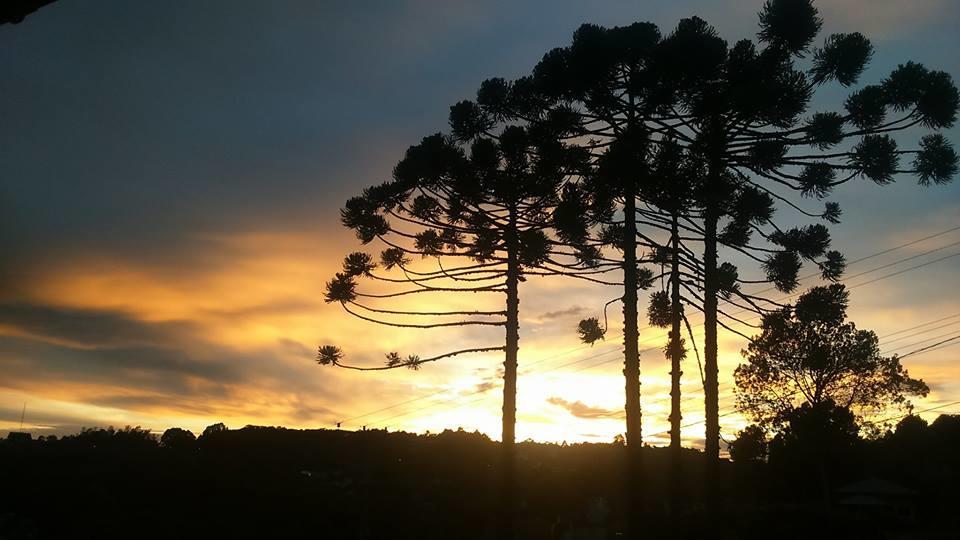 Caminho Das Colinas Gramado Ngoại thất bức ảnh